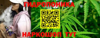 прущие грибы Кунгур
