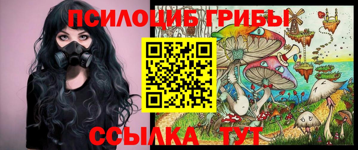 Псилоцибиновые грибы Magic Shrooms Зима