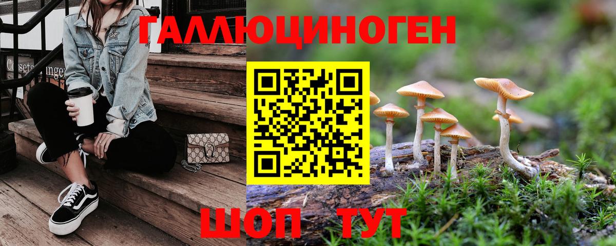 Зима  Псилоцибиновые грибы прущие грибы  Вход с VPN 
